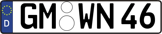 GM-WN46