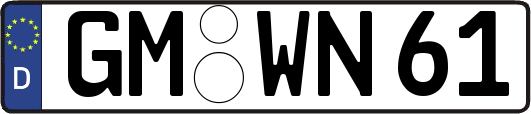 GM-WN61