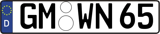 GM-WN65