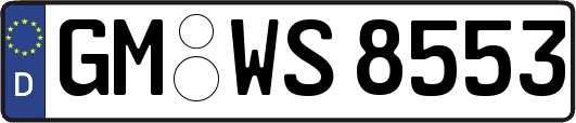 GM-WS8553