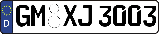 GM-XJ3003