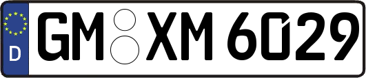 GM-XM6029
