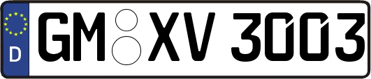 GM-XV3003