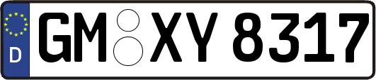 GM-XY8317