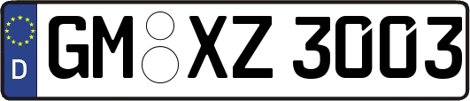 GM-XZ3003
