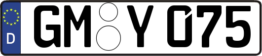 GM-Y075
