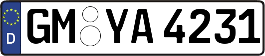 GM-YA4231