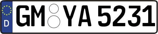 GM-YA5231