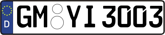 GM-YI3003