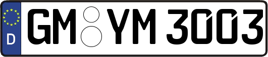 GM-YM3003
