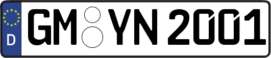 GM-YN2001