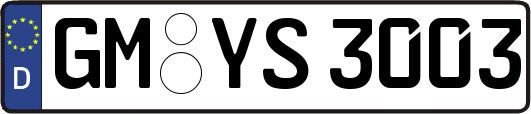 GM-YS3003