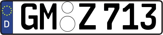 GM-Z713