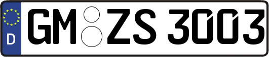 GM-ZS3003