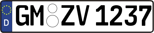 GM-ZV1237