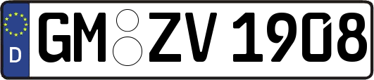 GM-ZV1908