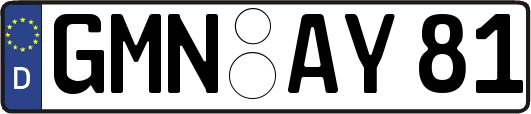 GMN-AY81