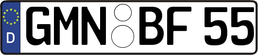 GMN-BF55