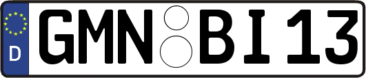 GMN-BI13