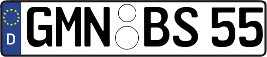 GMN-BS55