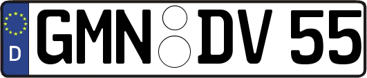 GMN-DV55