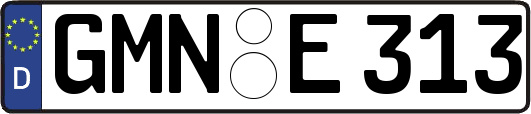 GMN-E313