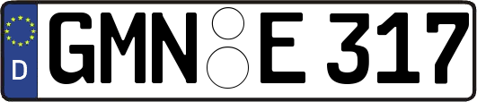 GMN-E317