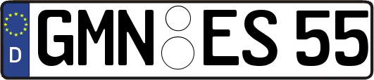 GMN-ES55
