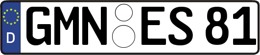 GMN-ES81