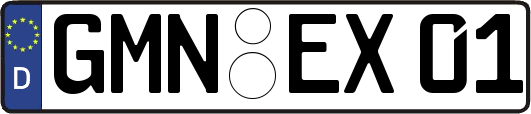 GMN-EX01