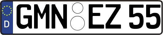 GMN-EZ55