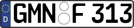 GMN-F313