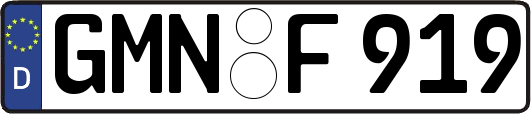 GMN-F919