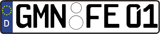 GMN-FE01