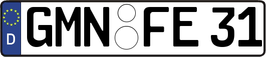 GMN-FE31