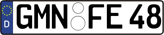 GMN-FE48
