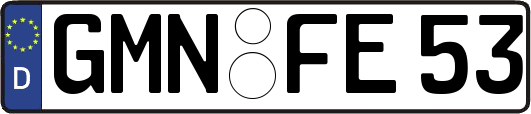 GMN-FE53