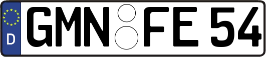 GMN-FE54