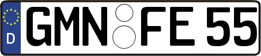 GMN-FE55