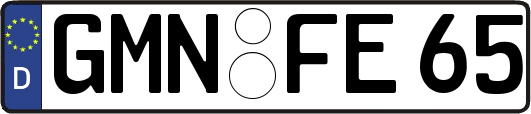 GMN-FE65