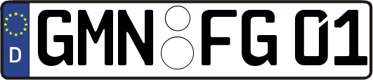 GMN-FG01