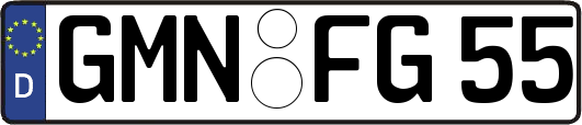 GMN-FG55