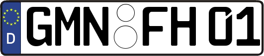 GMN-FH01