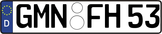 GMN-FH53