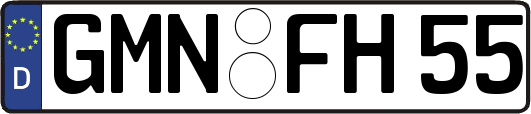 GMN-FH55