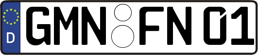 GMN-FN01