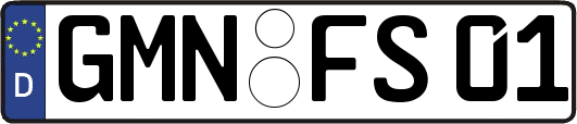 GMN-FS01