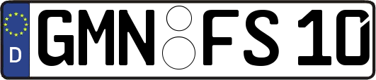GMN-FS10
