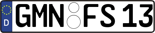 GMN-FS13