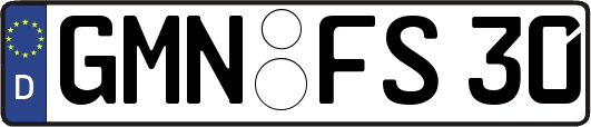 GMN-FS30